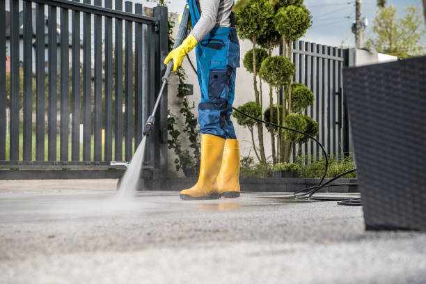 Best Dumpster Area Cleaning  in Roseville, MN
